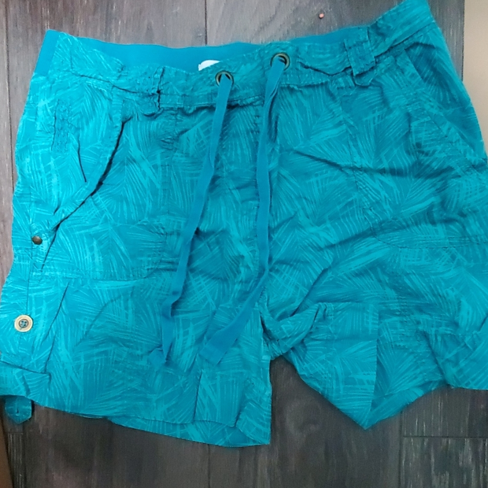 Teal Shorts
